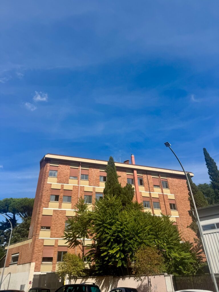 La luce entra dalle finestre del Divino Amore e si posa sui banchi, riempie gli spazi di energia e serenità, trasforma ogni mattina in una nuova scoperta per i nostri bambini 